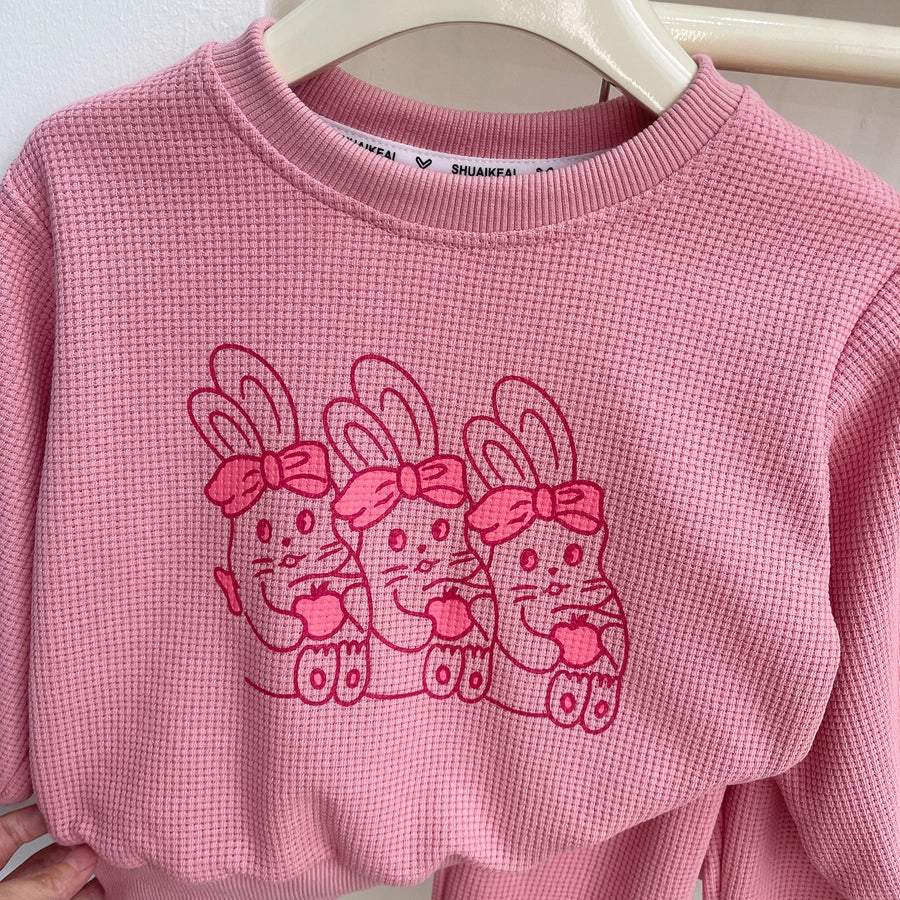 Pink Bunny Set